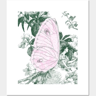 Butterfly fairy princess Posters and Art